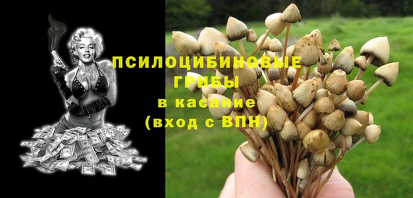 дмт Кулебаки