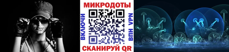 МЕГА как зайти  Чернушка  Псилоцибиновые грибы Psilocybe 