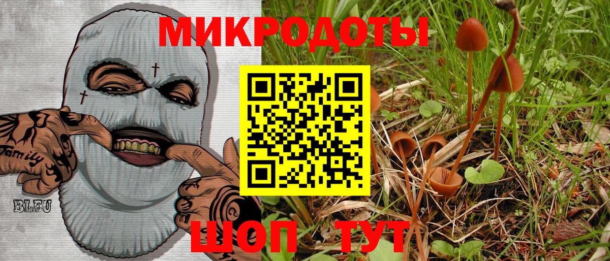 Псилоцибиновые грибы Cubensis Чернушка