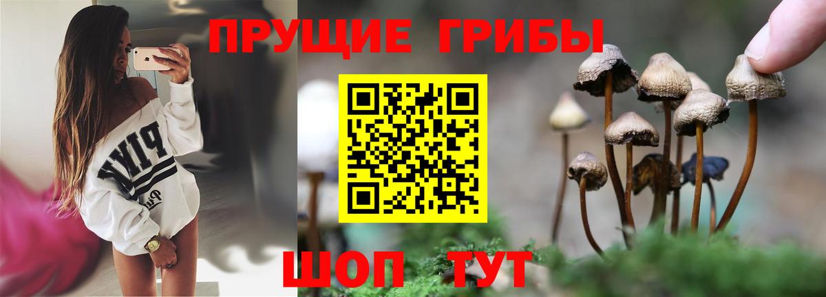 Галлюциногенные грибы ЛСД  Вход с VPN  Чернушка 